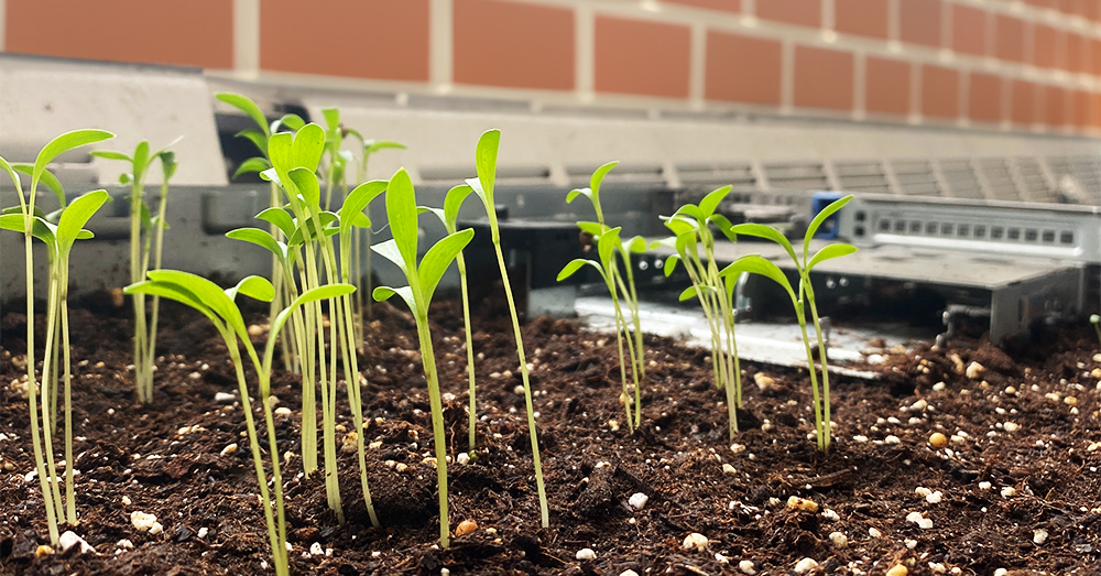 Upcycling Projects: Turning a Chassis Into a Planter