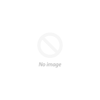 HPE P12619-001 Mellanox ConnectX-5 Dual-Port 25GB SFP28 Gen 3 x16 OCP 3.0 LOM